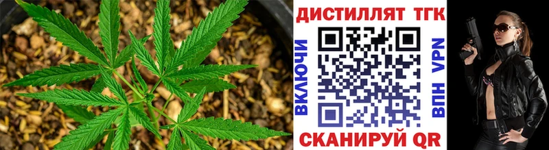 Дистиллят ТГК Wax Горно-Алтайск
