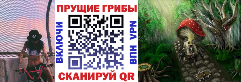 Галлюциногенные грибы мицелий Горно-Алтайск